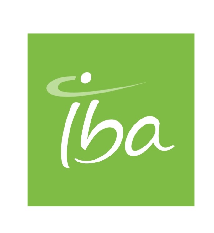 You are currently viewing ION BEAM APPLICATIONS SA