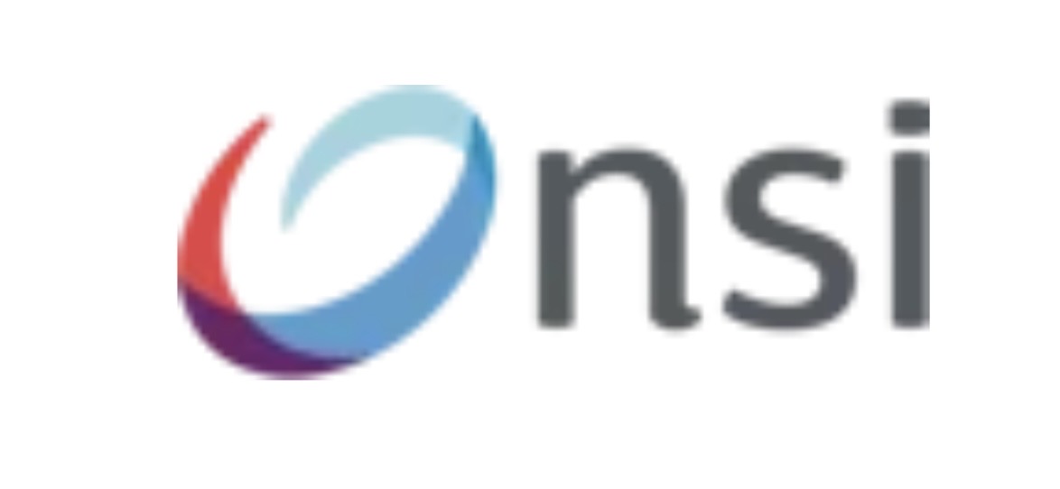 You are currently viewing NSI IT Software & Services
